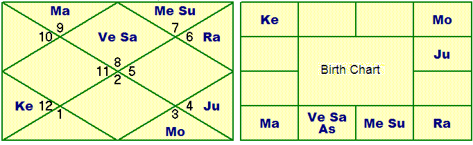 South Indian Natal Chart